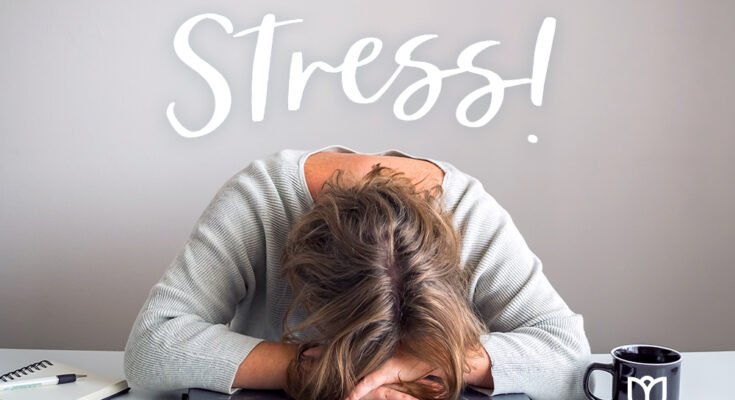 Control The Stress