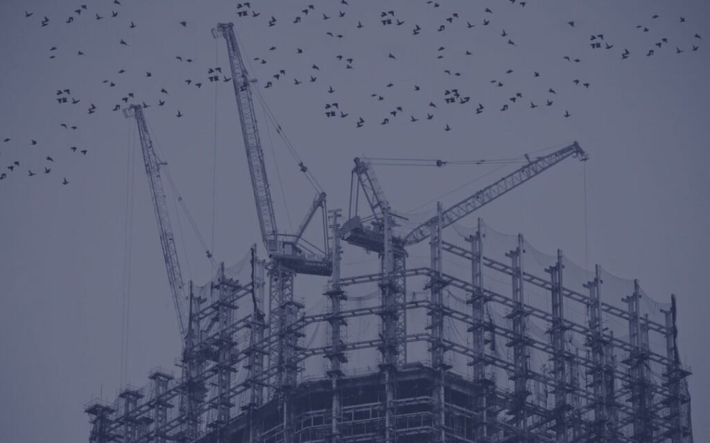Why Do Infrastructure Projects Fail?
